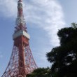 Tokio ? faworyt Polaków w czerwcu