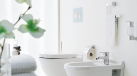 W jasnych barwach – 3 odcienie łazienki Dom, LIFESTYLE - Stonowana kolorystyka to idealne rozwiązanie dla pomieszczeń sanitarnych – szczególnie tych o niewielkim metrażu i pozbawionych światła dziennego.